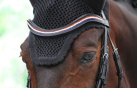 red white blue browband