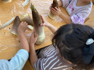 りす組☆筍の皮むき・筍ごはん