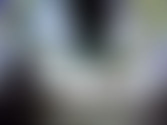 Review: City of Ashes by Cassandra Clare (The Mortal Instruments #2)