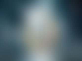 Words on The Exiled Queen by Cindy Williams Chima (Seven Realms Series #2)