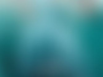 Words on The Selection by Kiera Cass (The Selection #1)