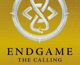 Words on Endgame by James Frey and Nils Johnson-Shelton