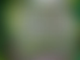 Shades of Earth by Beth Revis
(Across the Universe Trilogy #3)