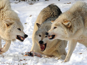 Nightlife: At Our Core