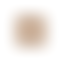 THE 'KIM KARDASHIAN' DRESS