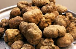 Olio aromatizzato al tartufo Borgia