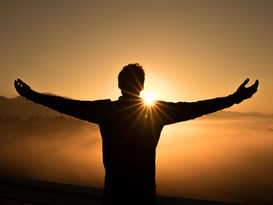 The Amazing Human Body
