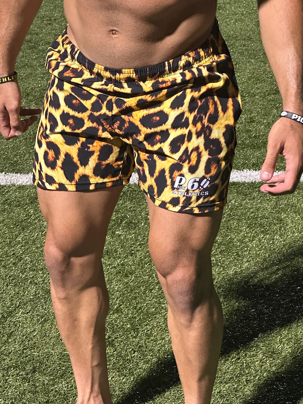 Thumbnail: Cheetah Shorts - Final pairs