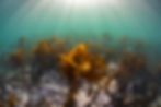 JUC_Education-1.jpg