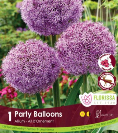 Allium - Party Balloons