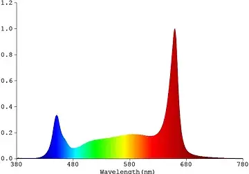 Red Blast.webp
