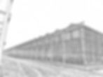 pencilsketchadjusted-1862914.jpg
