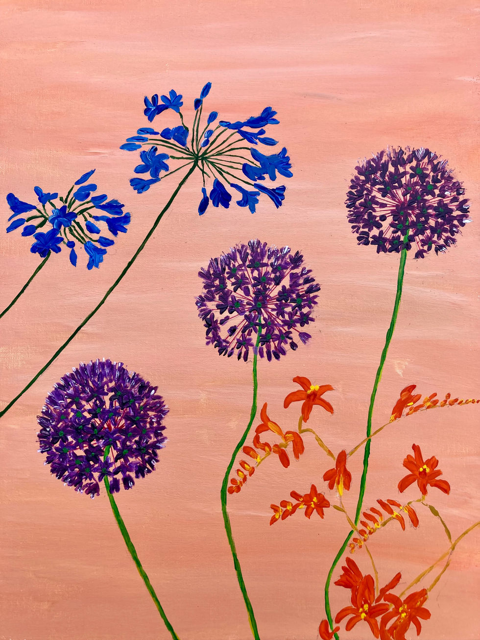 Summer and Springtime flowers