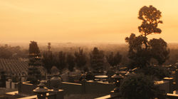 Aliev Ordoubadi | Aliev Production