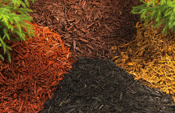 Bulk & Bagged Mulch