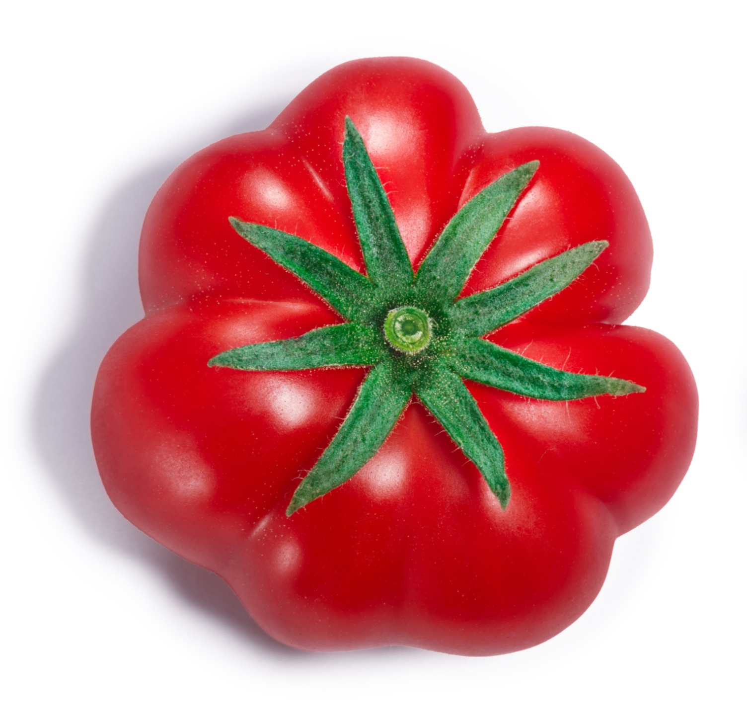 ribbed-tomato-whole-and-half-paths-top-view-2025-01-29-05-45-31-utc_edited.jpg