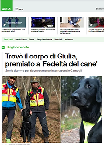 ANSA VENETO.png