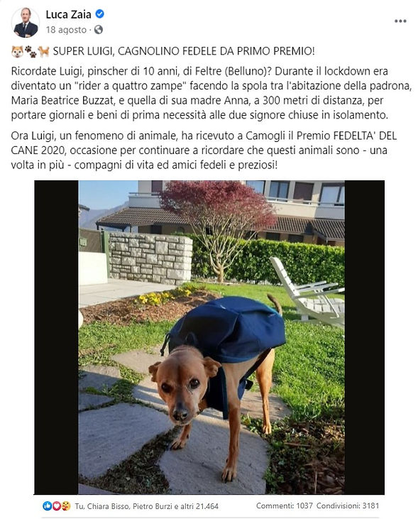 Post di ZAIA, Governatore del Veneto.jpg