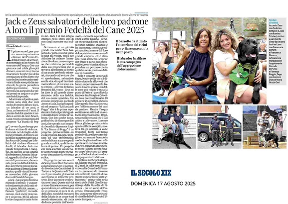 il secolo del 17.jpg