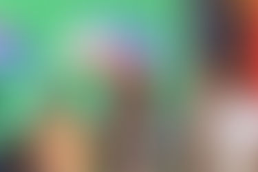 Philippine Eagle Conservation Translocation Project Partners gather at EVSU