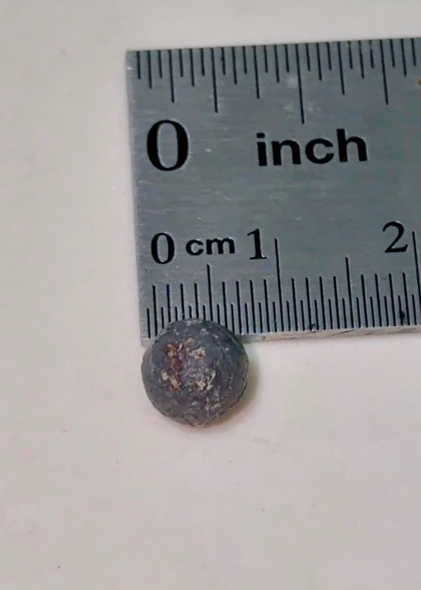 The spherical metallic bullet removed from Philippine Eagle Sawaga-Dalwangan's right wing. It measures more than half a centimeter in diameter.