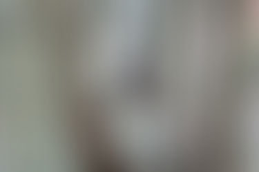 OmniPay Adopts Philippine Eagle Gavra Maslog