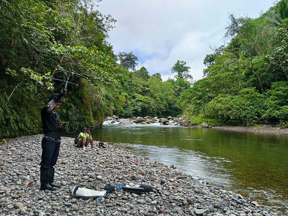 The monitoring team tracks Lakpue’s movements along the forest and river corridors of the Marabong watershed of Burauen, Leyte.
