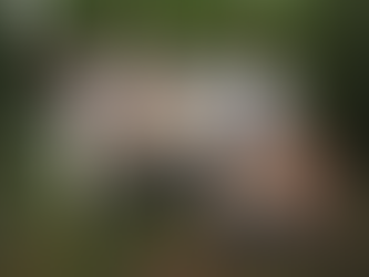 Baletemys kampalili was named after the late mammalogist Danilo "Danny" S. Balete