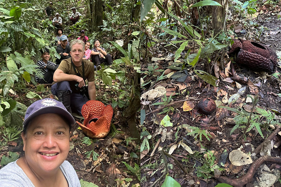 The newest Rafflesia cluster at Kibongkog, documented through the latest field expedition by Dr. Julie Barcelona, University of Canterbury Professor and Botanist Dr. Pieter Pelser with PEF Forester Guiller Opiso, and our Indigenous co-researchers—science and local knowledge coming together to reveal hidden biodiversity.