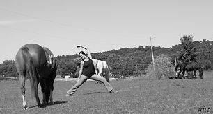 horsetouch11.jpeg