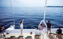 Sail Sensation.jpg