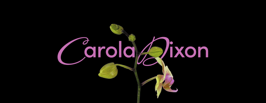 CarolaLogo_Website_V2.gif