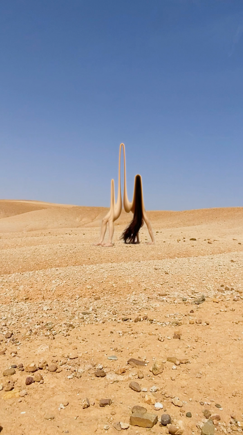untitled image