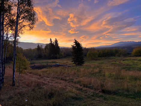 Inspire Growth: Life Coaching Insights