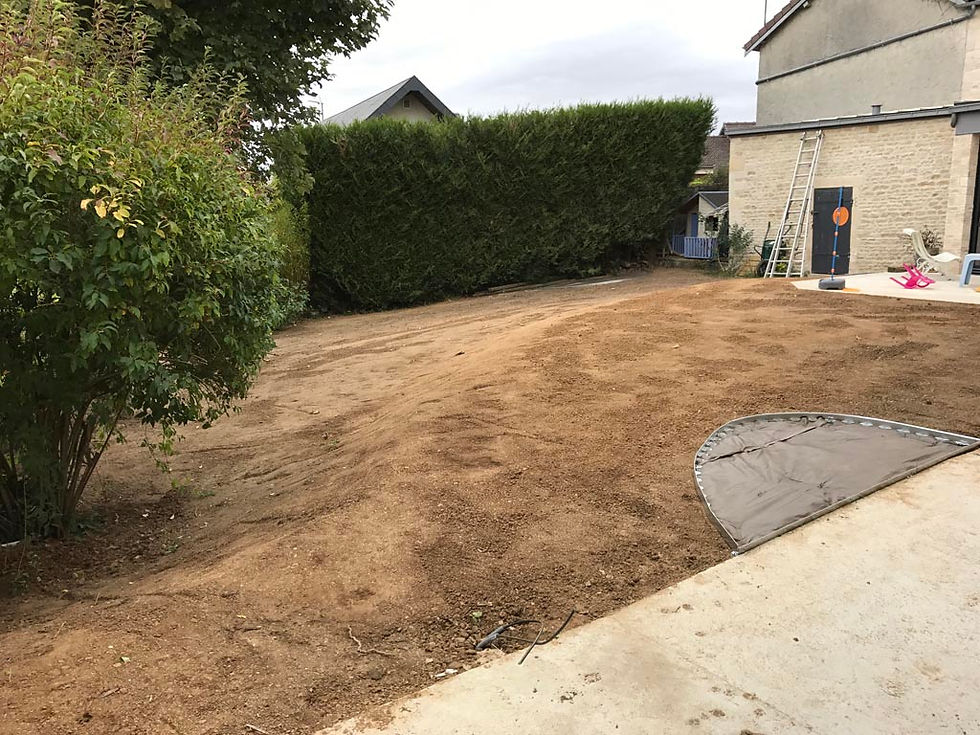 planter-du-gazon-a-caen-engazonnement.jpg