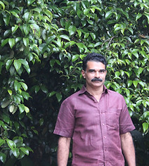 Our partner Nutmeg Farmer in lower ranges of Idukki