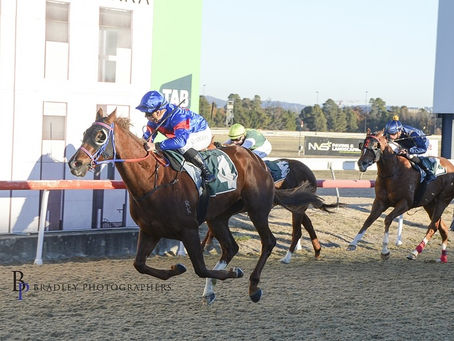 Angel in the Wind fires in stable debut