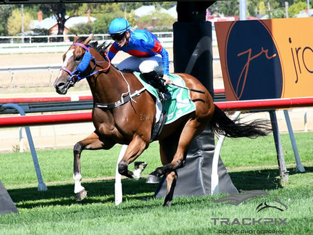 Exceedingly Hot bounces back