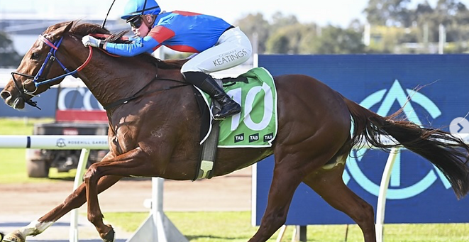 Screen Shot 2025-05-19 at 4.56.08 pm.png