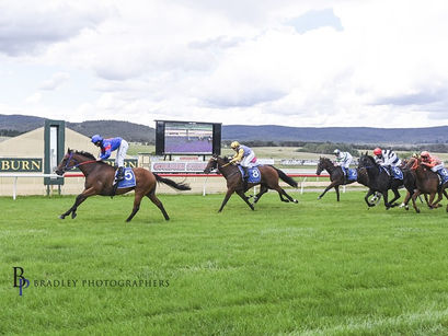 Extravagent Choice grabs first win for the stable