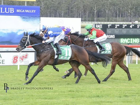Miss Stalwart gets change in fortune