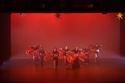 compressed-DSC02339