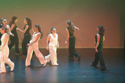 compressed-DSC03154