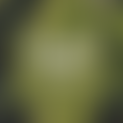 Magickal Properties of Basil | The Season of Anya | www.theseasonofanya.com