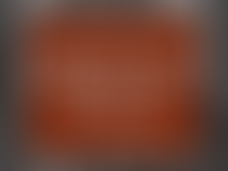 Diary of an American Witch Review | Honest Take on Witch of Southern Ligh