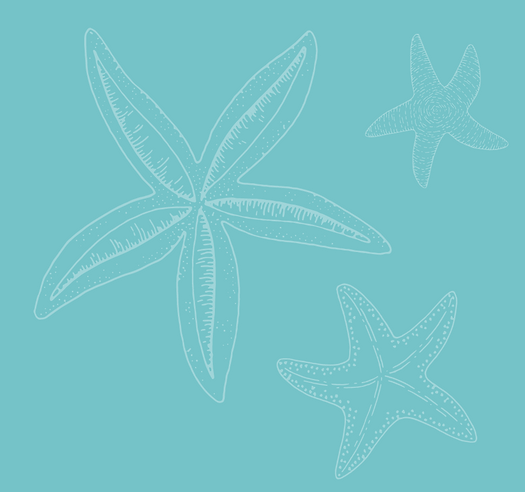 Dessert Adventure Blog Banner (3).png