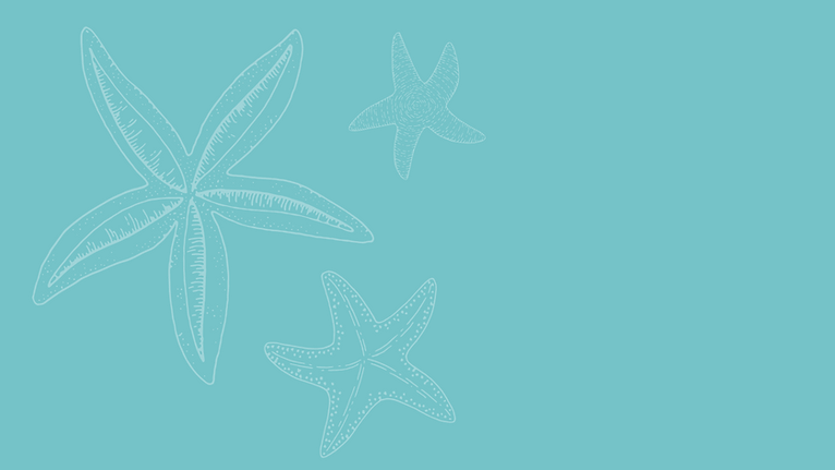 Dessert Adventure Blog Banner (3).png