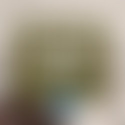 somatic yoga and how to regulate the nervous system and feel safe in your body