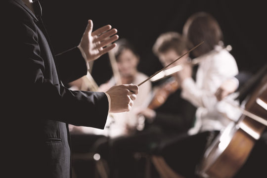 Understanding Purpose