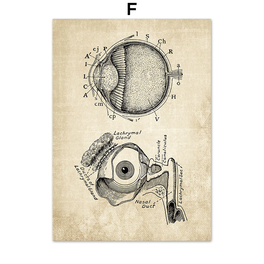 Miniaturebillede: Wall Canvas Art Painting 